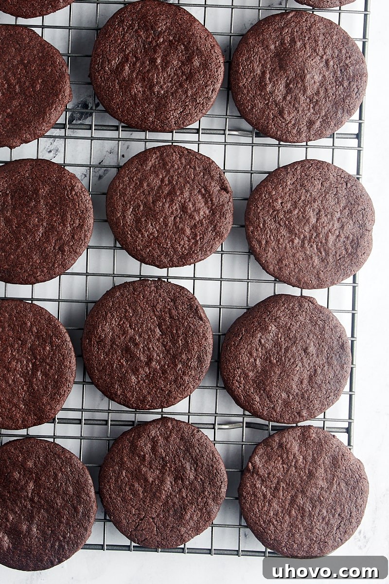 overhead view of chocolate wafer cookies on a wire rack