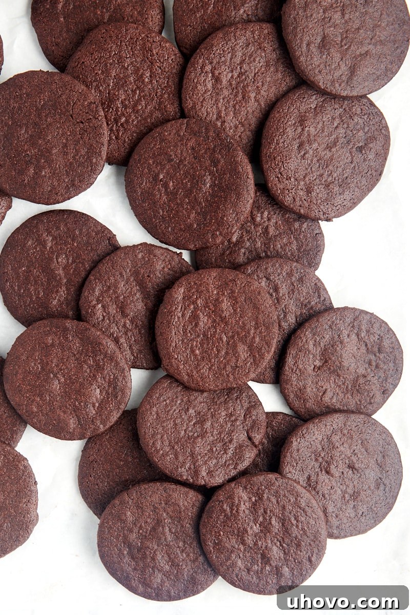 overhead view of chocolate wafer cookies scattered over a white surface