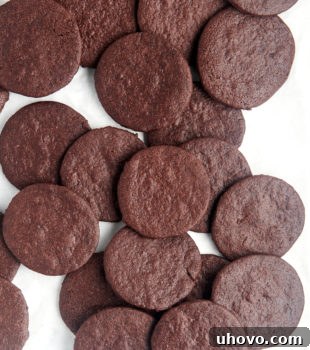 overhead view of chocolate wafer cookies scattered over a white surface