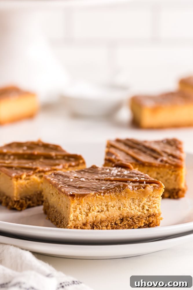 Sliced Dulce de Leche Cheesecake Bars on a white plate, showcasing their rich caramel topping and creamy texture.