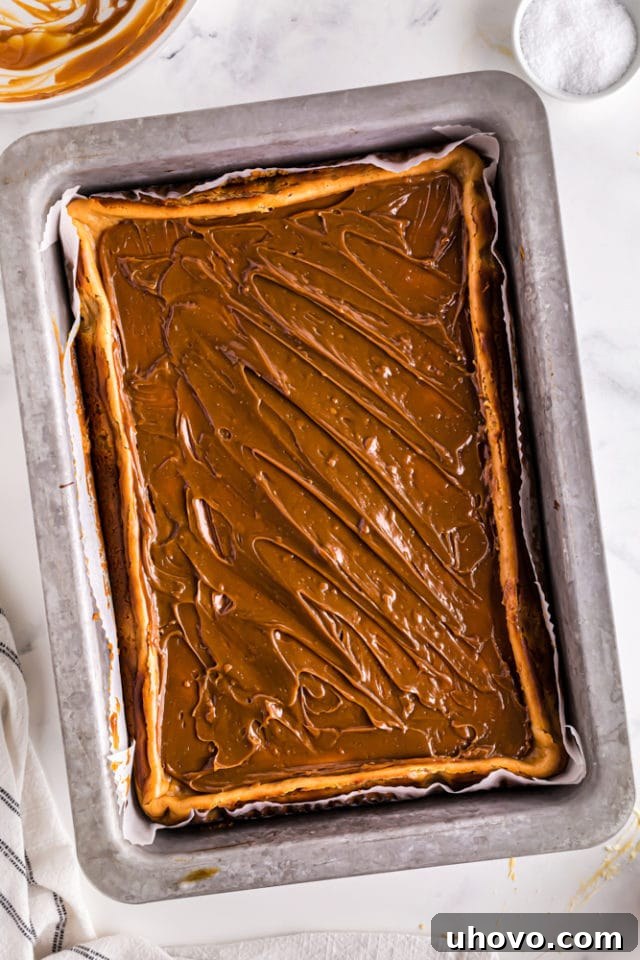 Overhead view of the glistening dulce de leche glaze evenly spread on top of the cooled cheesecake bars in a 9x13 pan, awaiting its final touch.