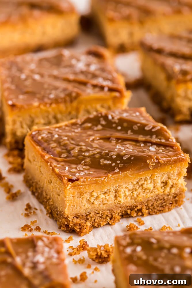 Dulce de Leche Cheesecake Bars artfully arranged on parchment paper, displaying their appealing layers and glossy topping.