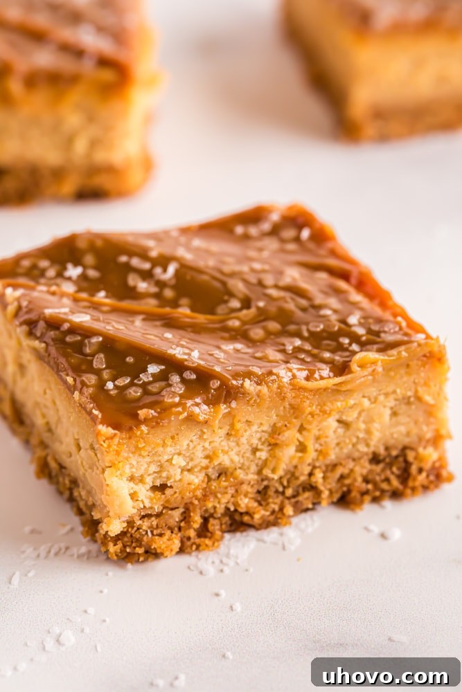 Close-up of a single sliced Dulce de Leche Cheesecake Bar, revealing its distinct layers of crust, creamy filling, and glossy caramel topping.