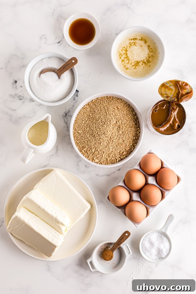 Close-up of ingredients for Dulce de Leche Cheesecake Bars, including softened cream cheese, rich dulce de leche, golden graham cracker crumbs, and granulated sugar.