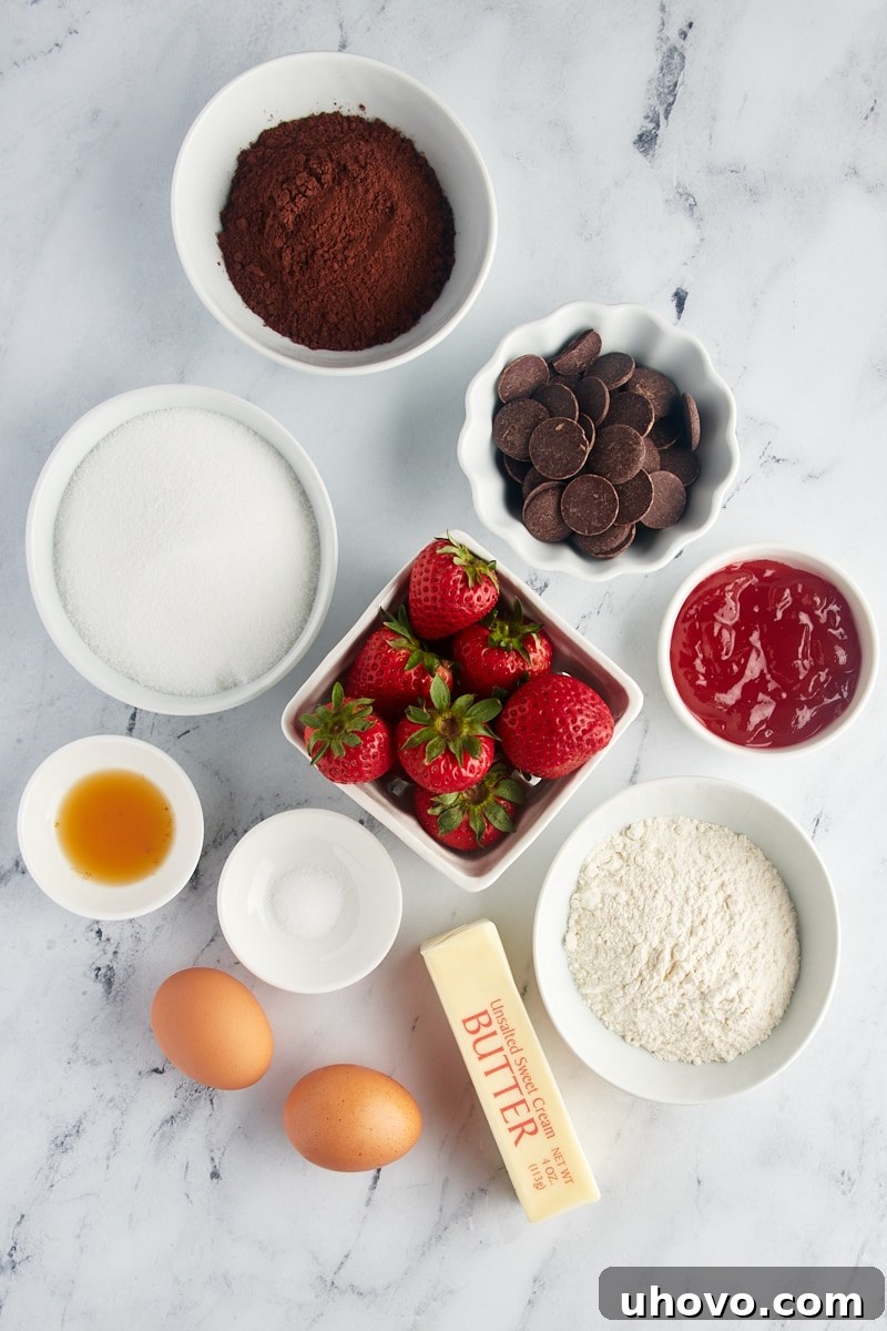 Overhead view of fresh ingredients for strawberry brownies laid out on a surface, including butter, chocolate, flour, cocoa powder, sugar, eggs, vanilla, and fresh strawberries.