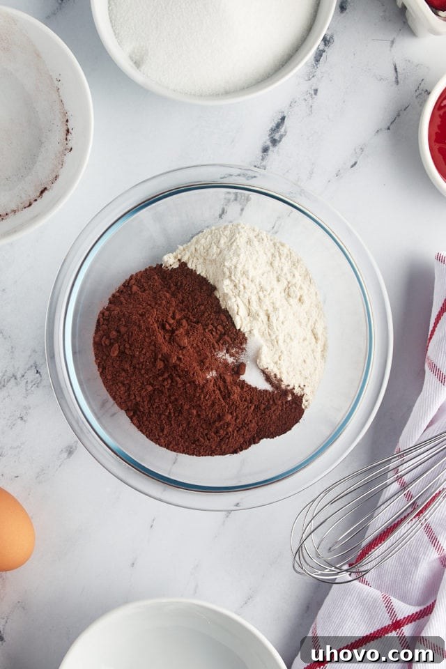 Overhead view of cocoa powder, all-purpose flour, and salt in a mixing bowl, ready to be whisked together.