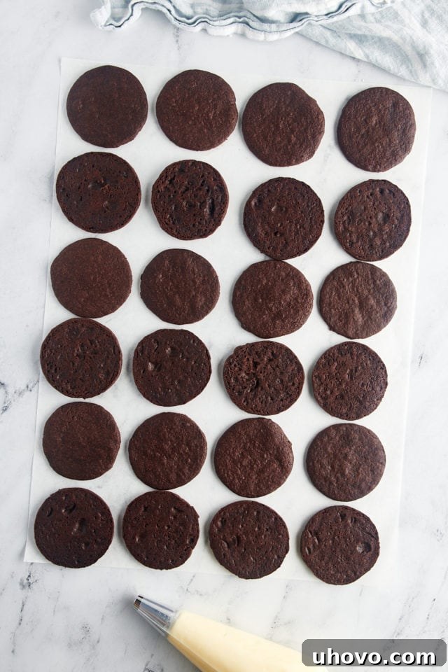 Overhead view of crisp chocolate wafer cookies neatly arranged on parchment paper, awaiting their creamy filling.