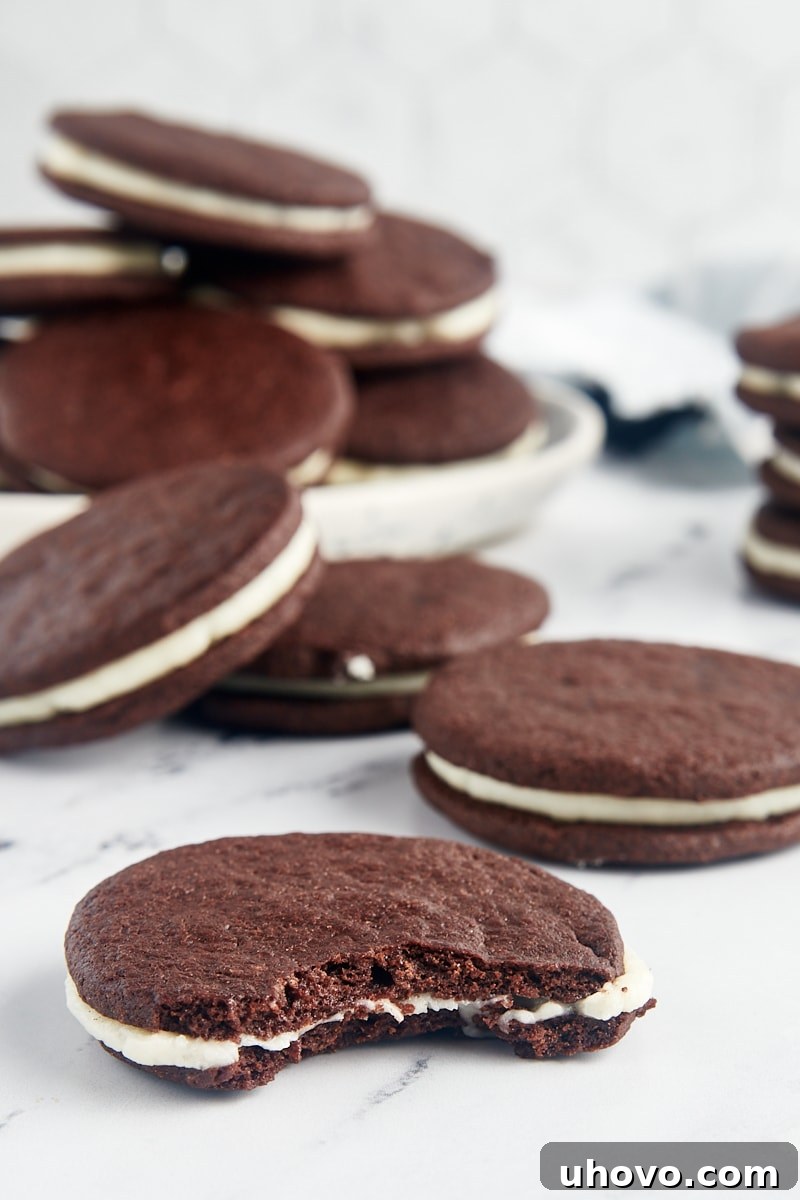 A perfectly made homemade Oreo with a delicious bite taken out, revealing the creamy white filling, with more whole cookies artfully scattered in the background.