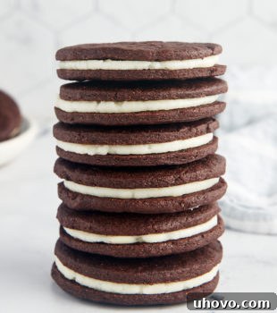 Homemade Oreos - Better than store-bought!