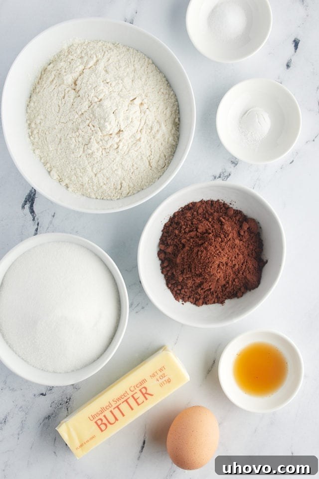 Overhead view of all the dry ingredients for chocolate cookies, including flour, cocoa powder, baking powder, and salt, neatly arranged.