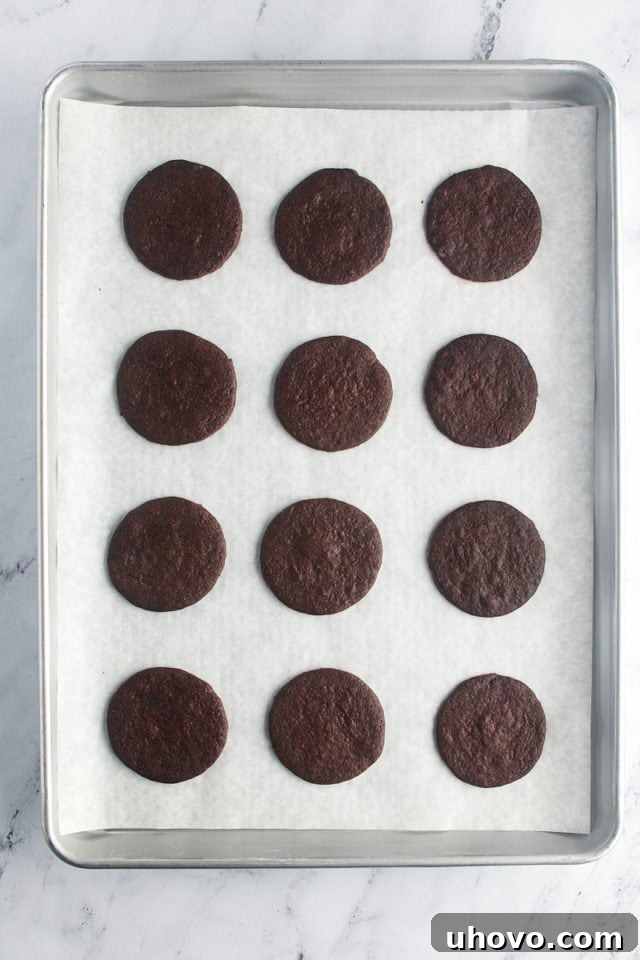 A baking sheet laden with freshly baked homemade Oreos, their deep chocolate color and perfect round shape making them look irresistible.
