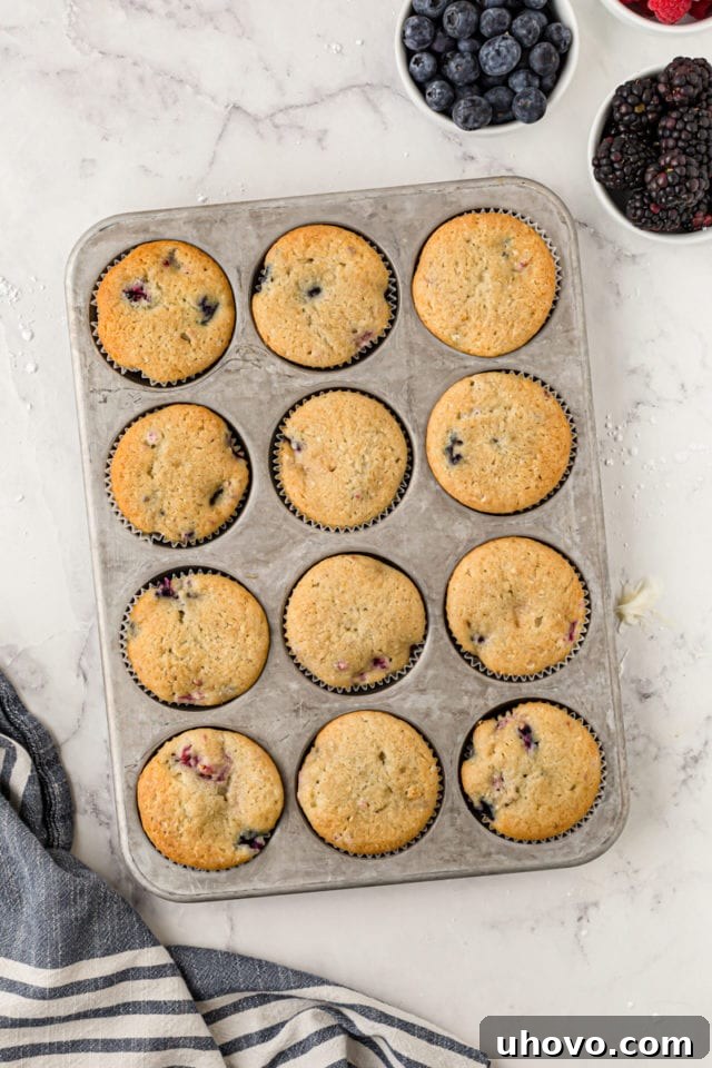 An overhead shot of a muffin pan filled with freshly baked berry cupcakes, golden-brown and fragrant, straight from the oven.