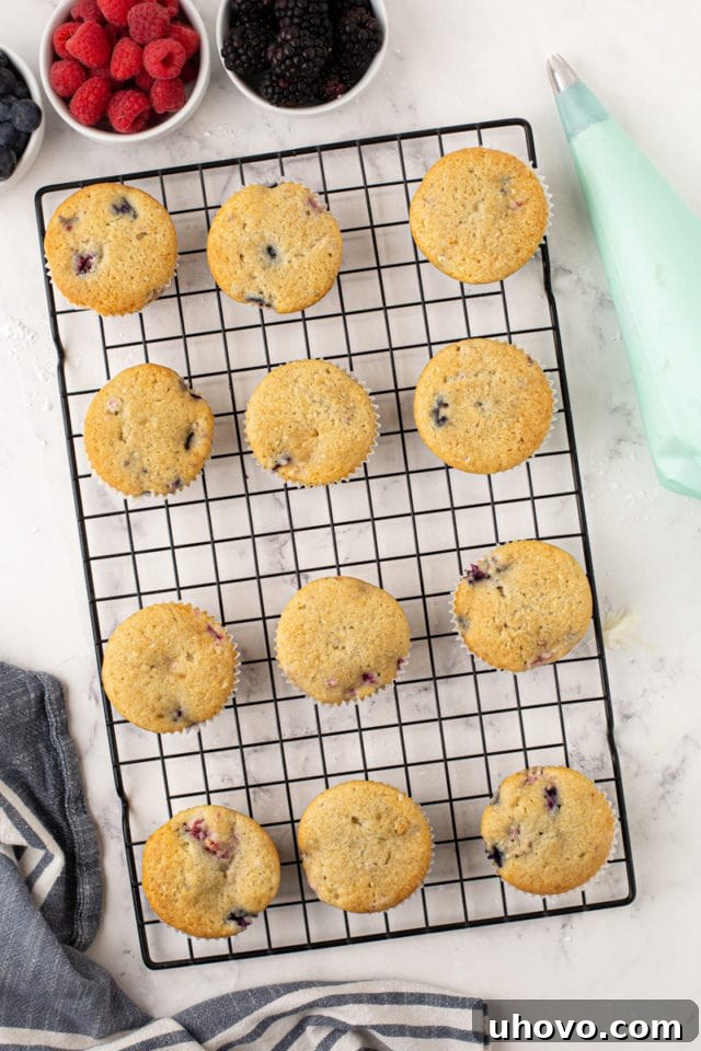 An overhead view of a batch of perfectly baked berry cupcakes cooling on a wire rack, ready for their delicious cream cheese frosting.