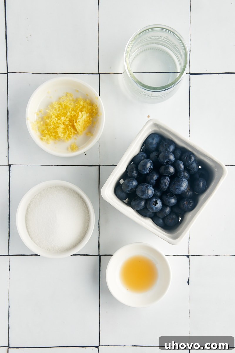 An overhead view showing the simple, fresh ingredients laid out for making blueberry compote: fresh blueberries, sugar, and a lemon.