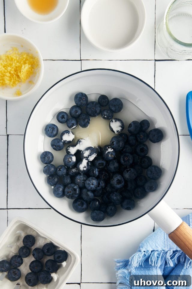 An overhead view of fresh blueberries, granulated sugar, and water combined in a heavy-bottomed saucepan, ready for cooking.