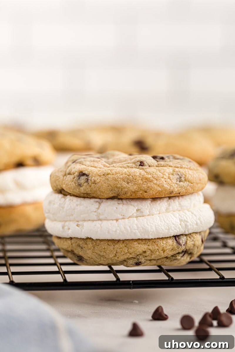 close up of a Chocolate Chip Cookie Sandwich on a wire rack with more cookies in the background