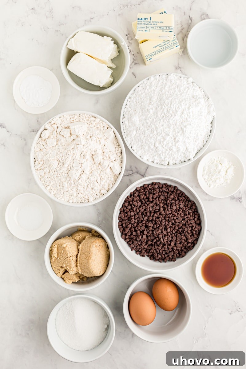 overhead view of ingredients for Chocolate Chip Cookie Sandwiches