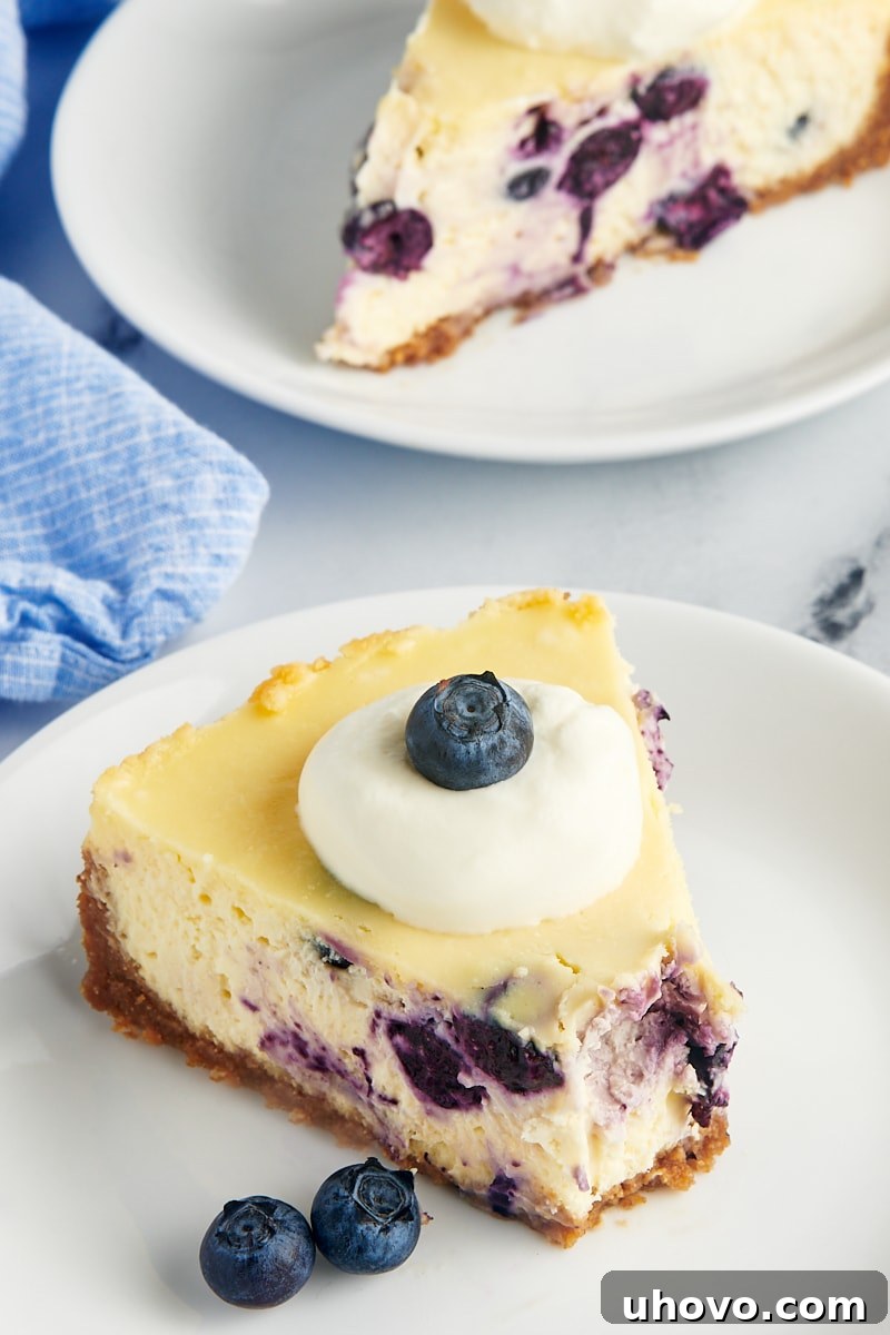 a slice of blueberry cheesecake topped with whipped cream and blueberries 