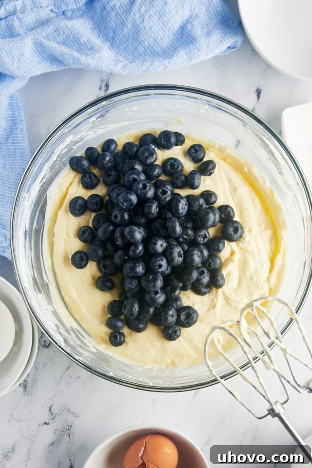 overhead view of blueberries added to cheesecake batter