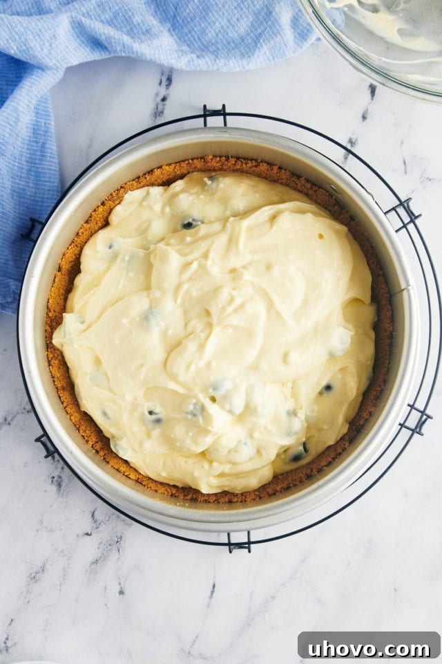 overhead view of blueberry cheesecake batter in a graham cracker crust in a springform pan
