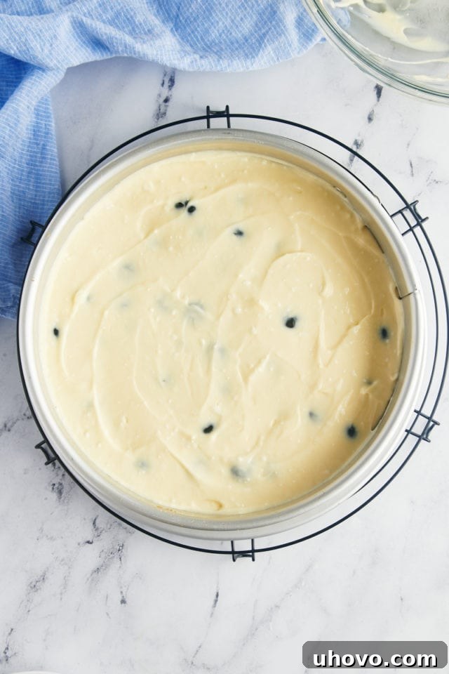 overhead view of blueberry cheesecake ready to go into the oven