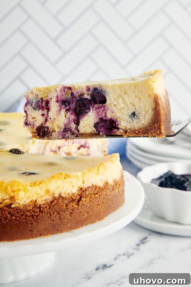 a slice of blueberry cheesecake on a cake server with the remaining cheesecake in the background