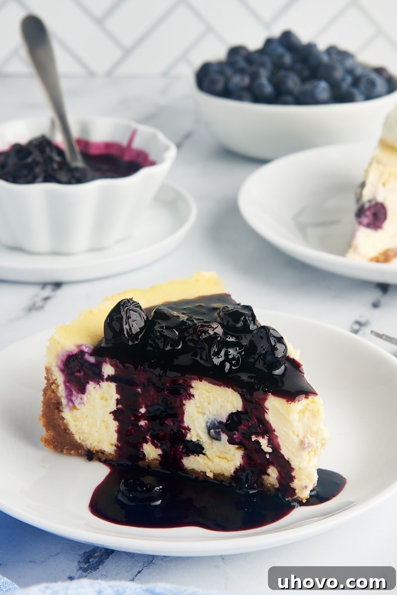 a slice of blueberry cheesecake topped with blueberry compote
