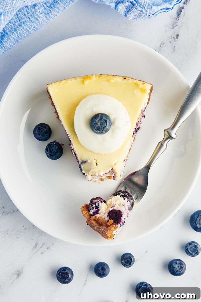 overhead view of a slice of blueberry cheesecake on a white plate with a bite of cheesecake on a fork