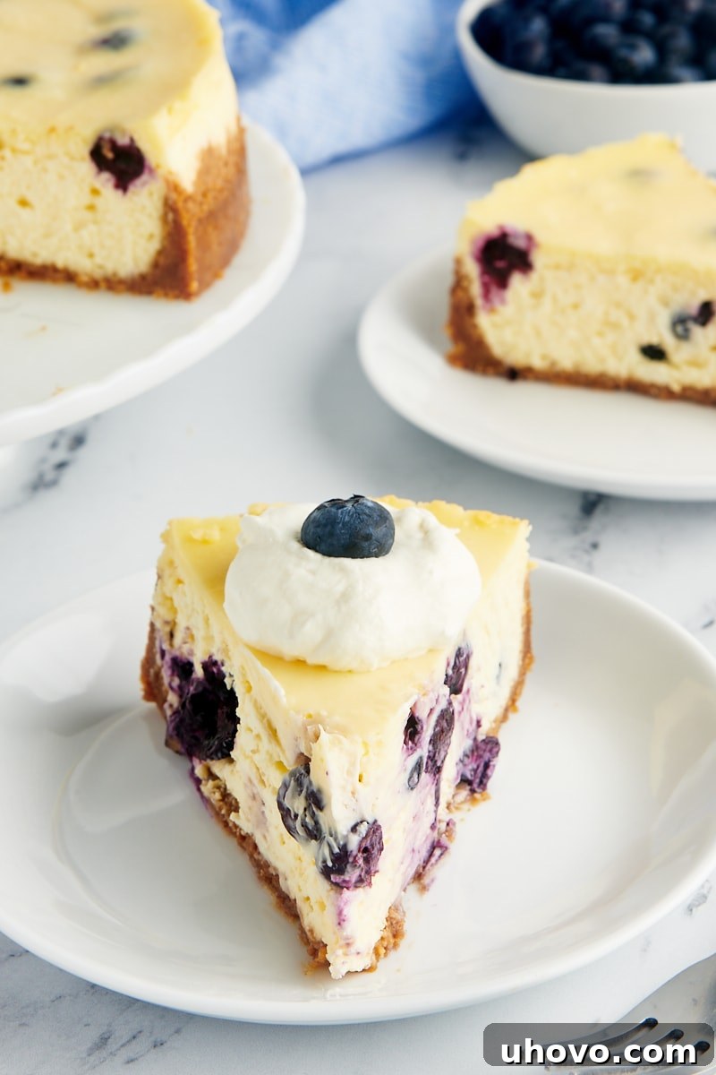 a slice of blueberry cheesecake on a white plate with two more servings in the background