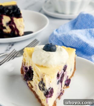 a slice of blueberry cheesecake on a white plate with another slice and a bowl of blueberry compote in the background