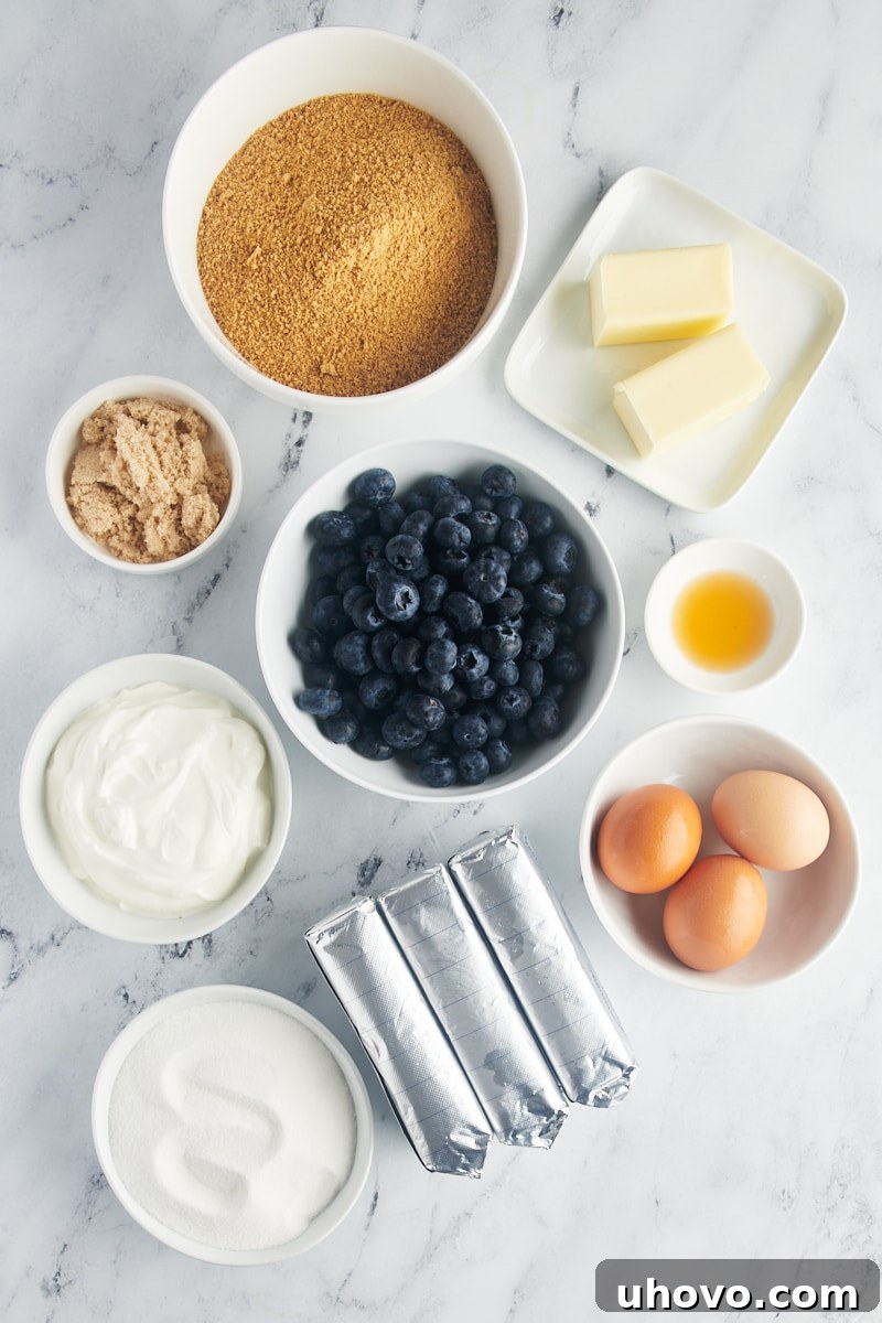 overhead view of ingredients for blueberry cheesecake