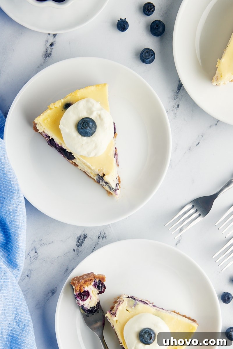 overhead view of slices of blueberry cheesecake on white plates