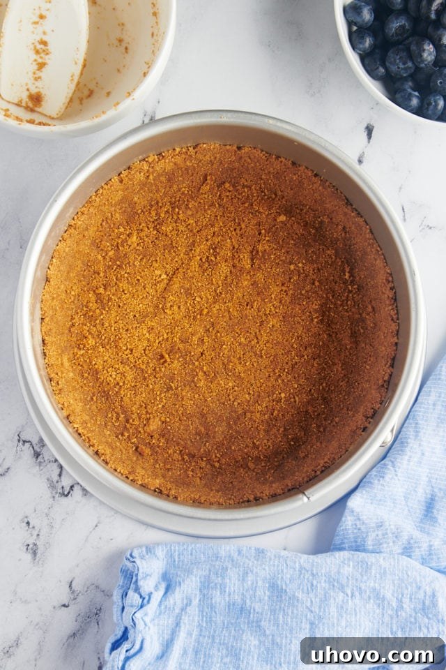 overhead view of graham cracker crust pressed into a springform pan