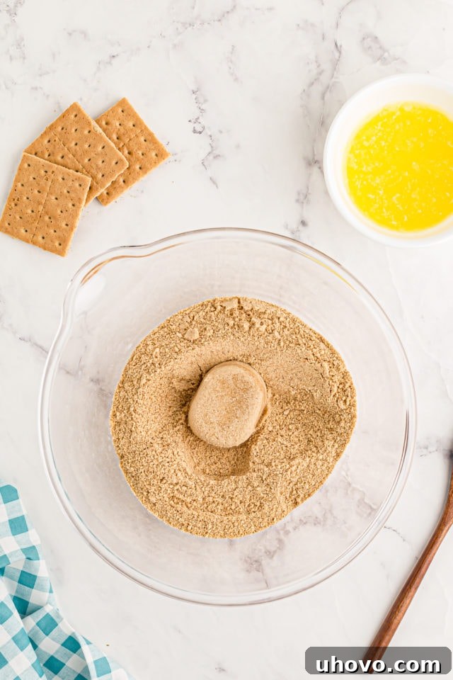 Overhead view of graham cracker crumbs and light brown sugar combined in a mixing bowl, ready for butter.