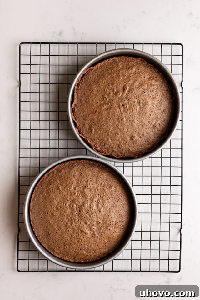 Two freshly baked German chocolate cake layers cooling in their pans on a wire rack after being removed from the oven.