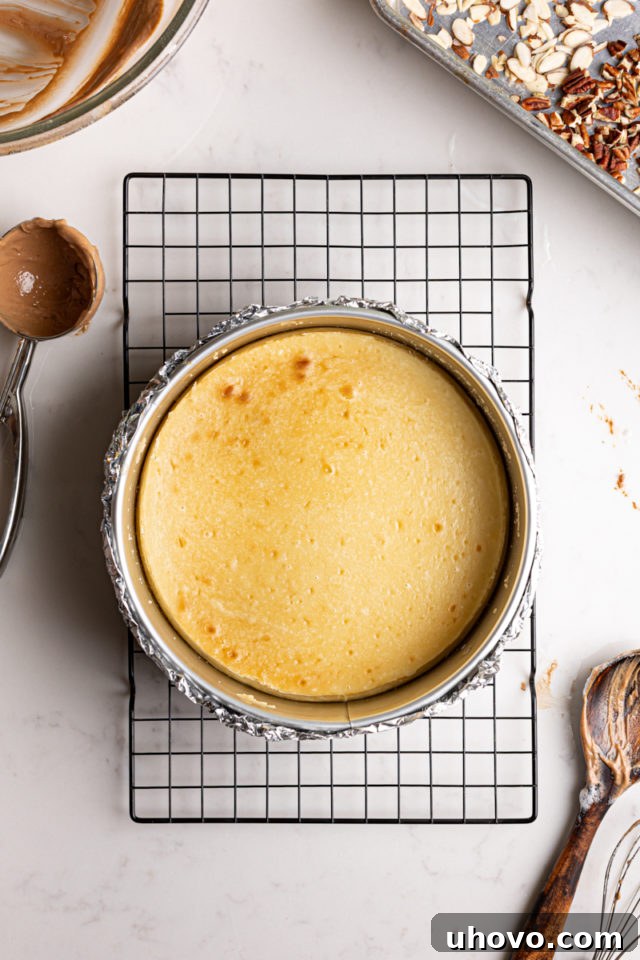 A freshly baked cheesecake, golden-brown at the edges, cooling in its springform pan on a wire rack after being removed from the water bath.