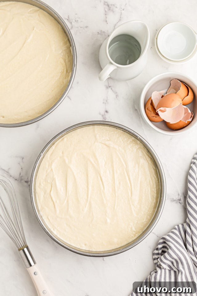 Overhead view of cake batter in 2 round pans