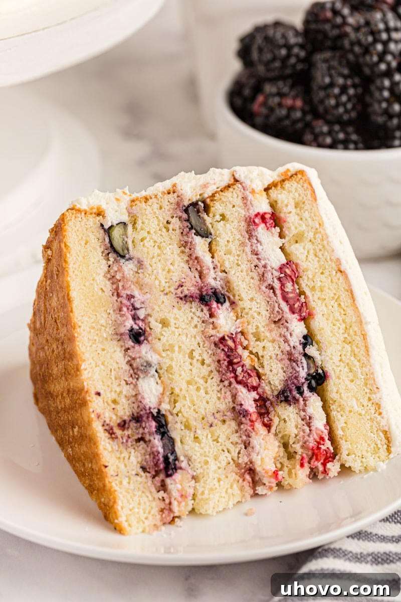 Chantilly cake slice on plate, with layers of whipped frosting and fresh berries