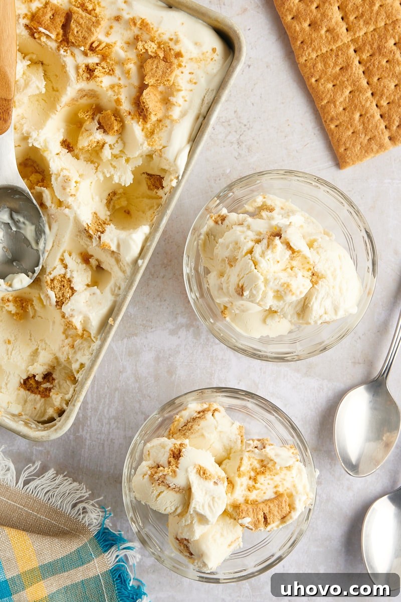 Overhead view of cheesecake ice cream in loaf pan and two glass bowls