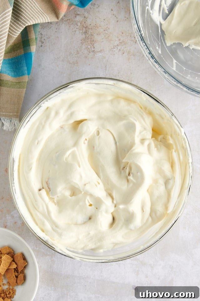 Overhead view of cheesecake ice cream mixture