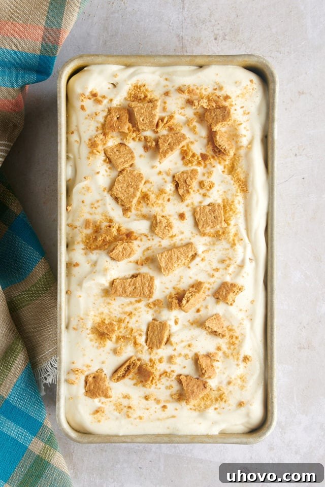 Overhead view of cheesecake ice cream in loaf pan