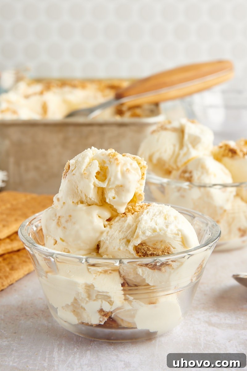 Two glass bowls with cheesecake ice cream, with pan of ice cream in background