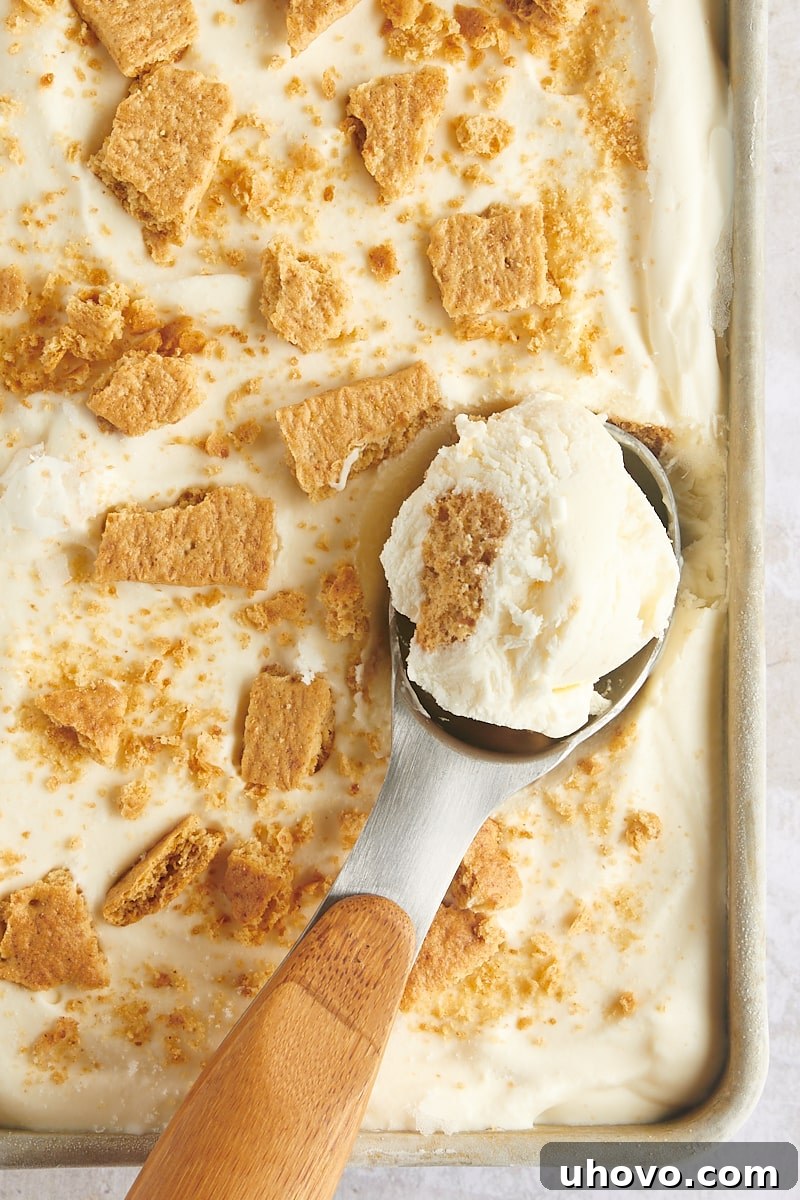 Overhead view of ice cream scooper in pan of cheesecake ice cream