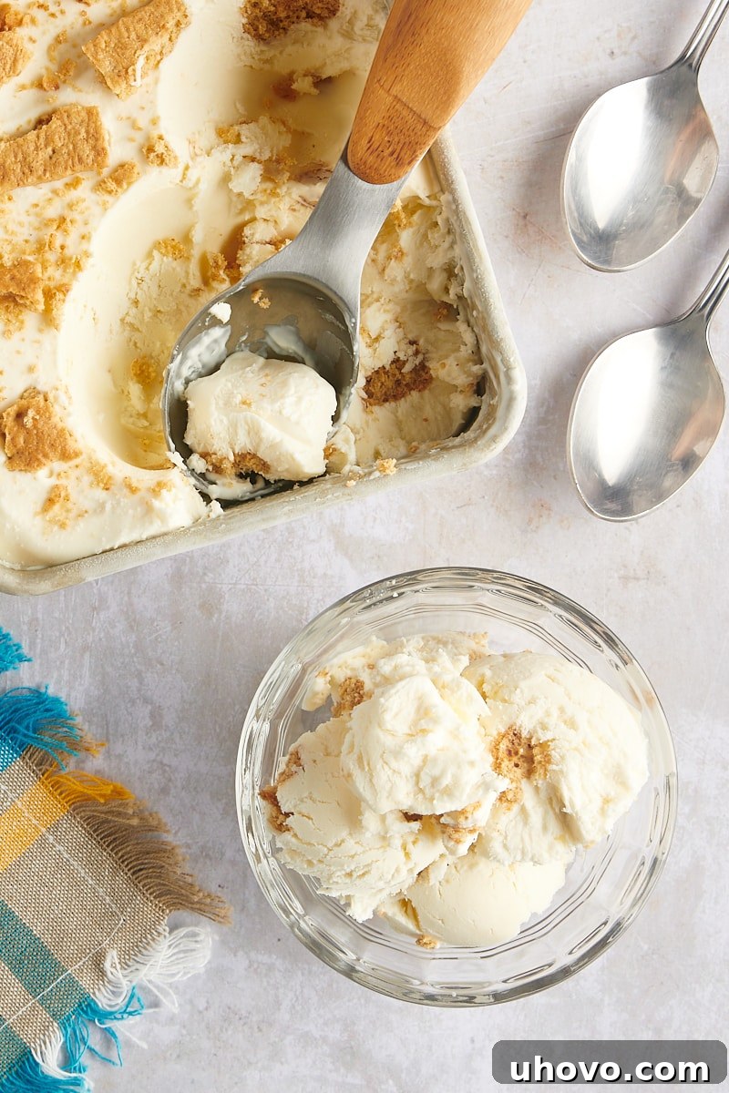 Overhead view of cheesecake ice cream in loaf pan and glass bowl