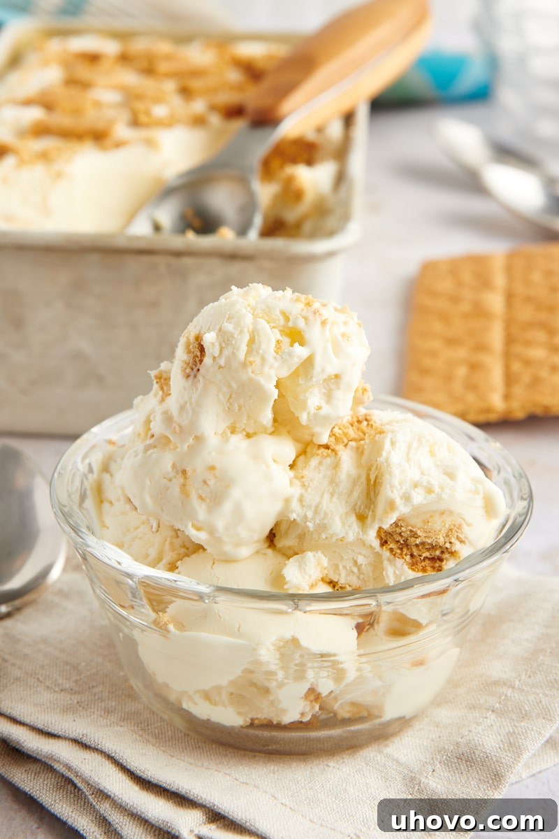 Bowl of cheesecake ice cream with loaf pan of ice cream in background