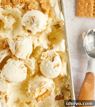 Overhead view of cheesecake ice cream in loaf pan