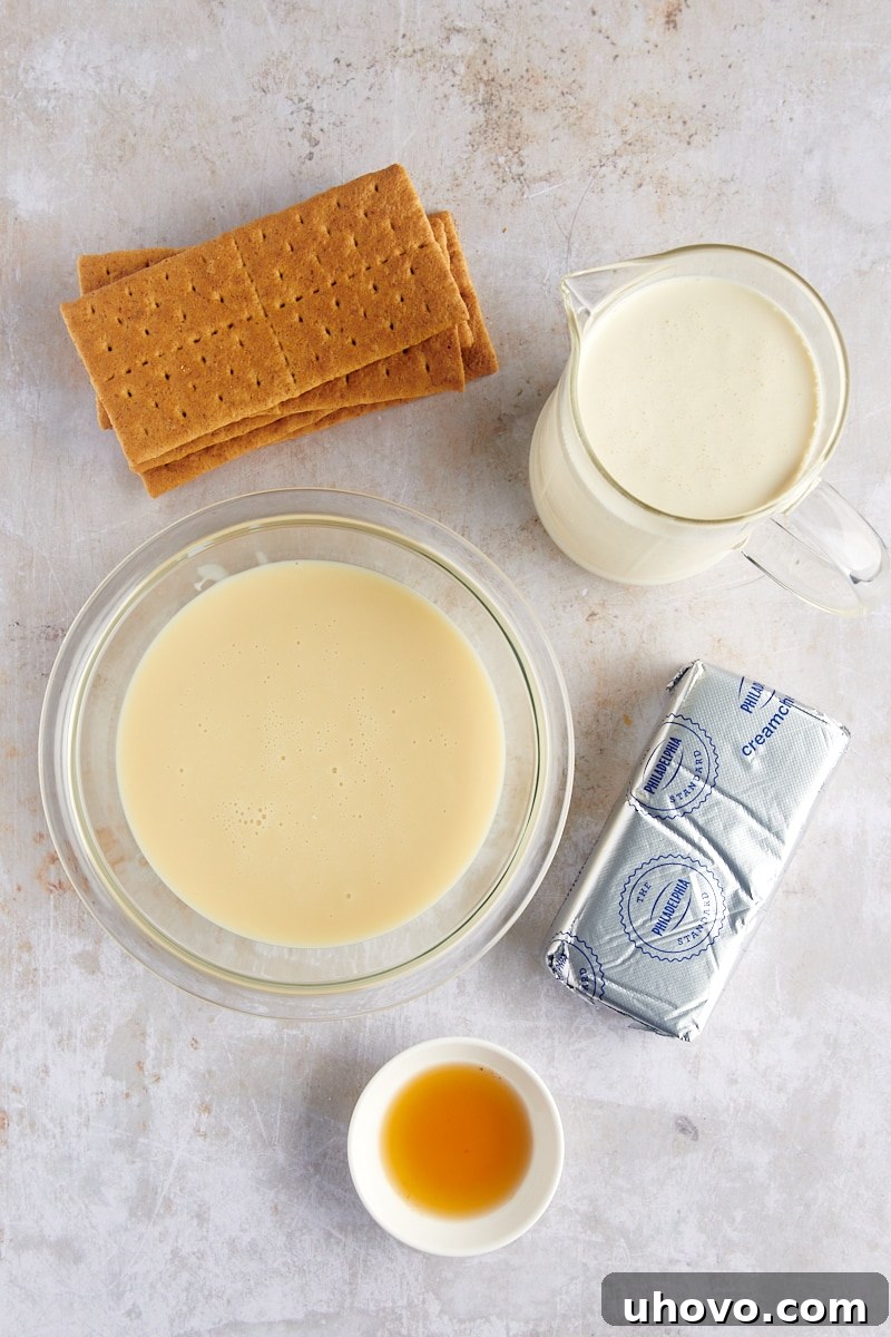 Overhead view of ingredients for cheesecake ice cream