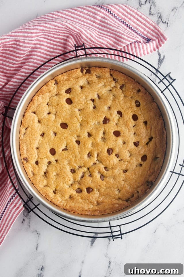 A comforting overhead shot of a freshly baked chocolate chip cookie cake, still warm in its cake pan, resting on a wire rack to cool after emerging from the oven.