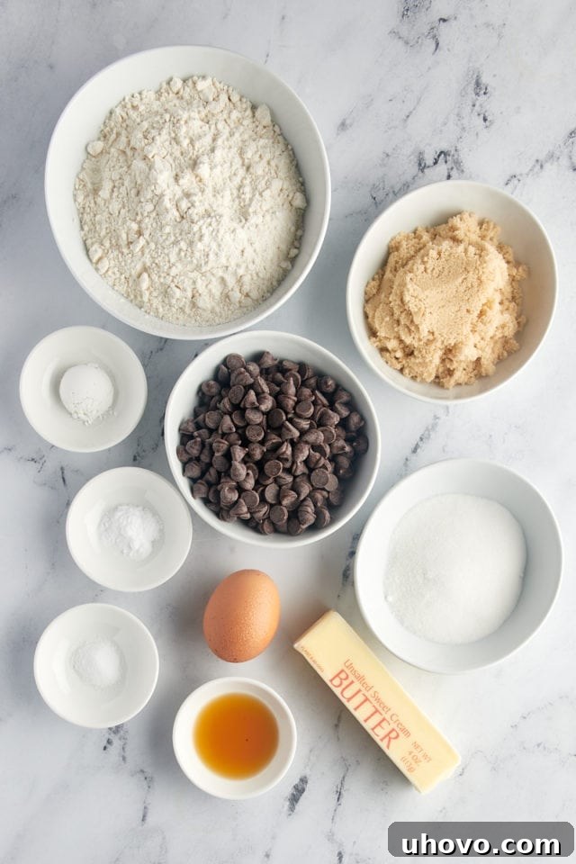 An overhead shot showcasing the neatly arranged ingredients for the chocolate chip cookie cake on a light surface, ready for mixing.