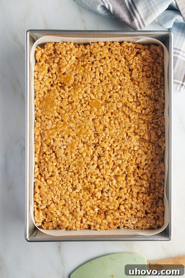 Overhead view of crispy rice layer in parchment-lined pan, pressed smoothly.